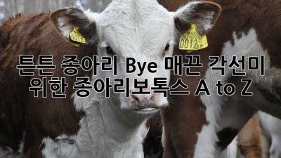 🦵 튼튼💪 종아리 Bye! 매끈✨ 각선미 위한 종아리보톡스 A to Z 💖